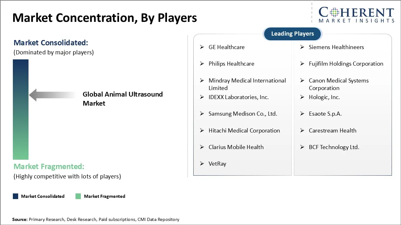 Animal Ultrasound Market Concentration By Players